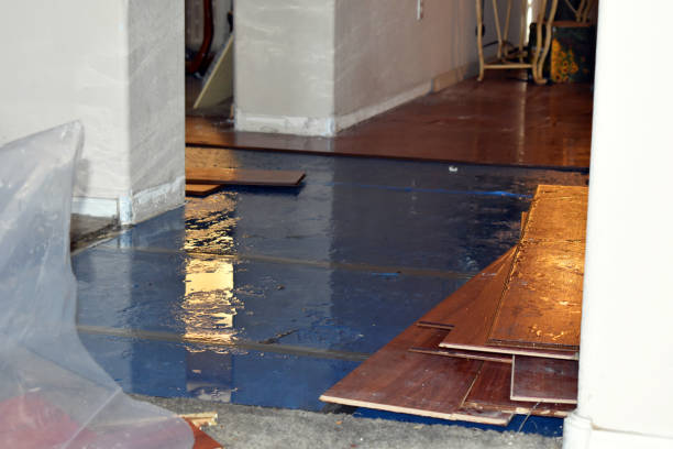 Professional Sewage Cleanup technician working in Wales, WI